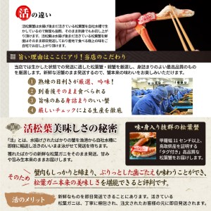 鳥取産活松葉がに 600g～800g (大サイズ)