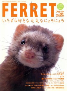  ＦＥＲＲＥＴ　Ｖｏｌ．１／趣味・就職ガイド・資格