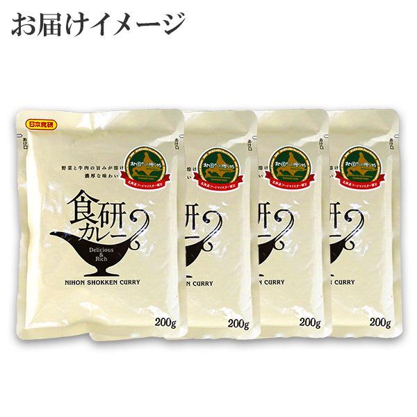 日本食研 カレー レトルト 食研カレー セット 4食 メール便 ポイント消化 送料無 レトルトカレー レトルト 食品 お取り寄せ グルメ