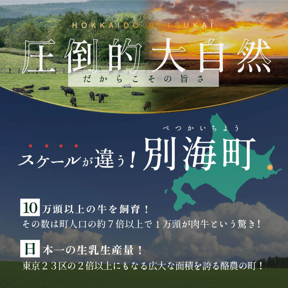 北海道 別海牛 肩ロース 500g×1P 赤身 スライス