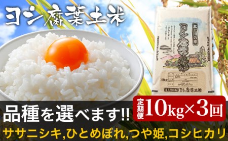 令和5年産＜定期便＞ヨシ腐葉土米 精米30kg（10kg×3回発送）つや姫