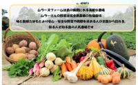 季節の野菜詰め合わせ（4～5種）と平飼い卵セット！農薬不使用だから安心安全！