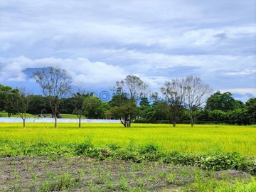 吉安近知卡宣公園2足坪農地 18F166｜花蓮縣吉安鄉仁愛段