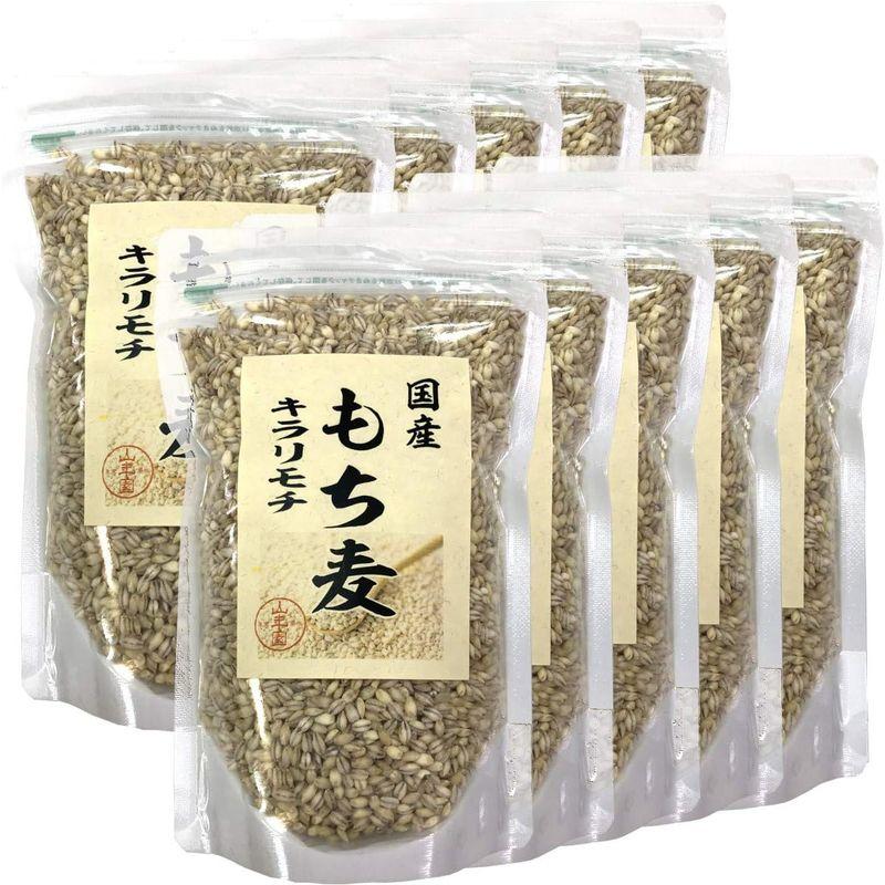 国産もち麦 キラリモチ 500g×10袋セット 巣鴨のお茶屋さん 山年園