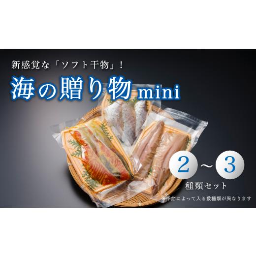 ふるさと納税 京都府 舞鶴市 海の贈り物 mini 干物 盛り合わせ 季節の干物 ２〜３種類