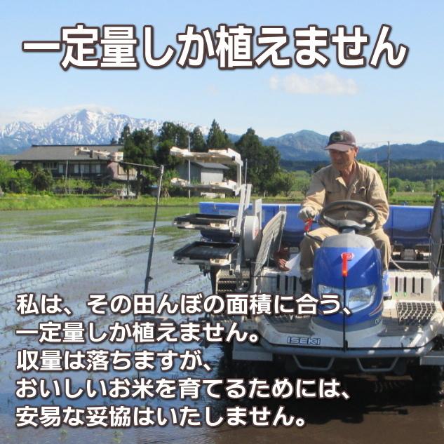 米 3kg 希少米コシヒカリ 玄米   農薬不使用 合鴨農法 お米 新潟 岩船産 令和5年産 新米   人気 おいしい 新潟米 こしひかり 送料無料