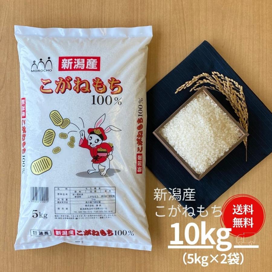 新米 もち米 餅 米 お米 10kg 5kg×2袋 新潟県産 こがねもち 本州送料無料 令和5年産