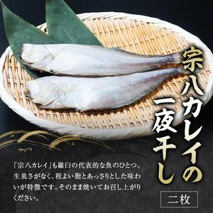 ふるさと納税  羅臼の魚 おすすめセット(1) 魚 切り身 切身 海鮮 福袋 家族 たら さくらます ほっけ カレイ こまい 一夜干し 粕漬け.. 北海道羅臼町