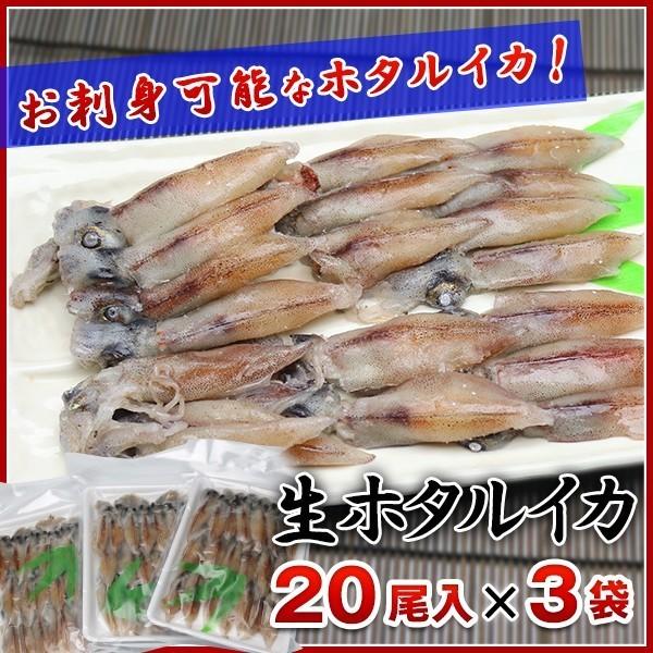 ほたるいか 蛍いか 生ホタルイカ 生食用 20尾入り 3パックセット 珍味 刺身 冷凍便 ギフト