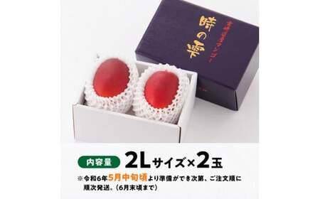 令和６年産 宮崎県産完熟マンゴー「時の雫」２L×２玉