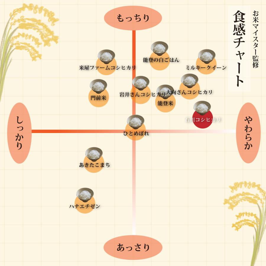 米 5kg 石川県産 コシヒカリ 令和5年産 こしひかり 5キロ 新米 お米 白米