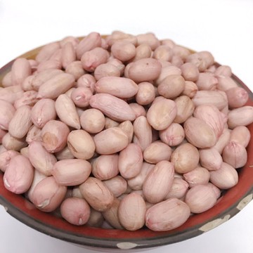 ［花生哪裡買］雲林新九號生花生自產自銷嚴選大顆 花生 600公克