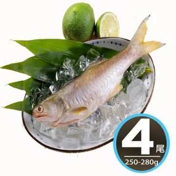 【華得水產】新鮮午仔魚4尾(250-280g/尾)