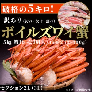 送料無料 ボイルズワイガニ 脚 セクション 5kg 2L～3Lサイズ相当 250-300g 肩 甲羅を除いた肩から足の部分 かに 蟹 特価