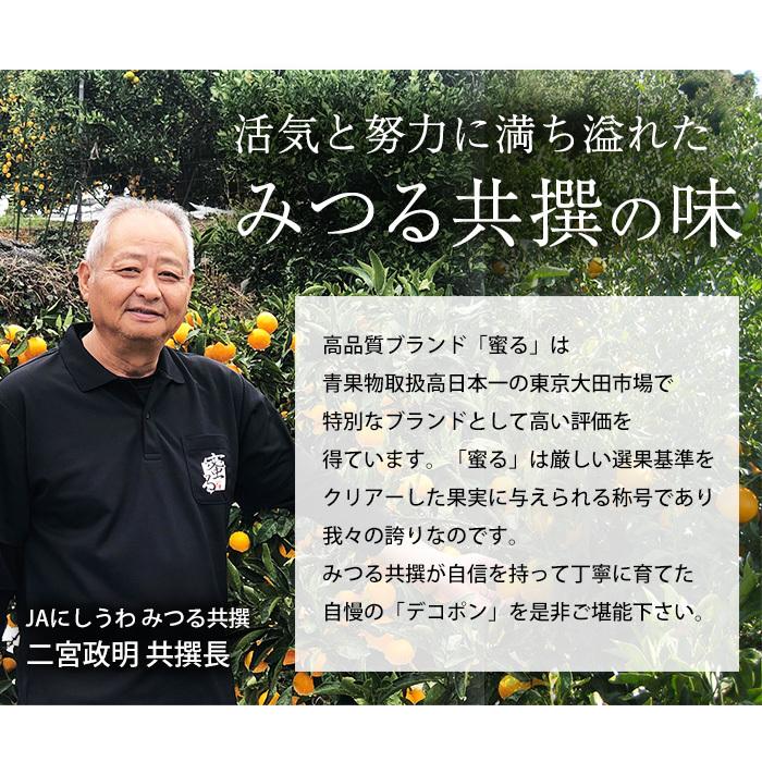 みかん 愛媛県産 伊予柑 蜜る 特秀品 約10kg 2L〜3Lサイズ 30〜36個