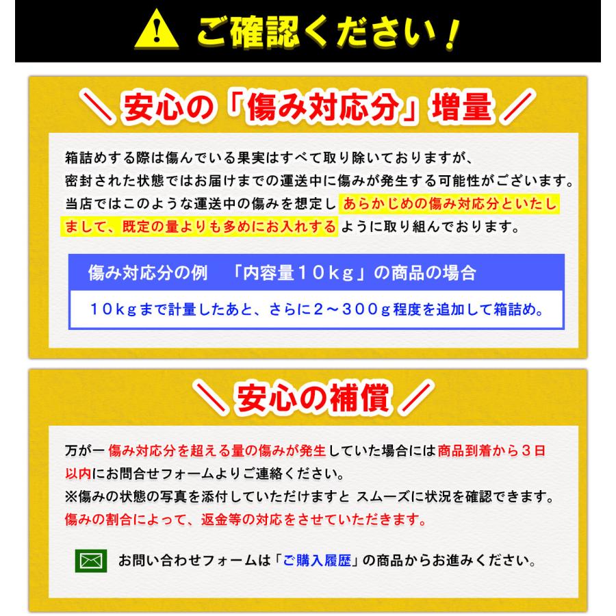 愛媛県産 小玉 みかん こまちゃん 5kg 家庭用 自宅用 訳あり 愛媛みかん 送料無料 プチ 小粒 箱買い 蜜柑 温州 早生 南柑 20号 5キロ