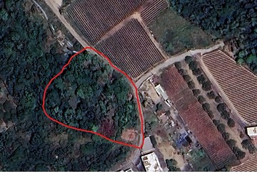 大樹視野寬闊農地絕佳景觀~好物件不等人｜高雄市大樹區龍目段