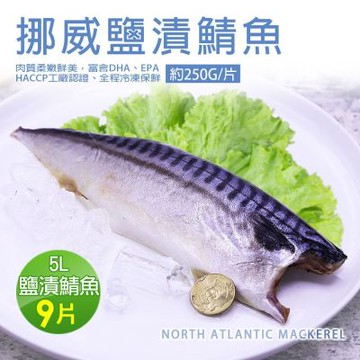 築地一番鮮-挪威｜5L超大薄鹽鯖魚｜250g｜9片