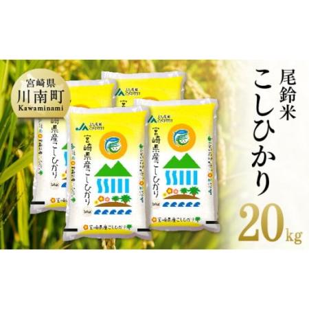 ふるさと納税 尾鈴農協産 白米「こしひかり」20kg【米 お米 白米 精米 2023年産米 国産米 宮崎県産米 コシヒカリ コメ 米 送料無料.. 宮崎県川南町