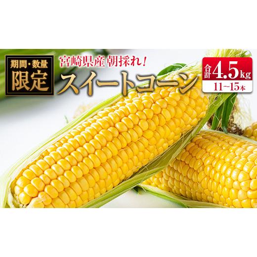 ふるさと納税 宮崎県 ◆朝採れスイートコーン (合計約4.5kg) 宮崎県産