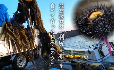 ★2024年分予約開始★利尻島産 塩水生うに ムラサキウニ5パック　8月発送分