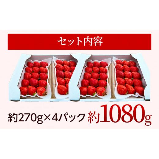 ふるさと納税 福岡県 田川市 農家直送 朝採り新鮮いちご [(約270g)×4パック]＜2023年12月以降順次出荷予定＞