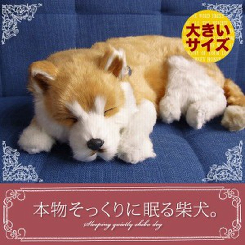 パーフェクトペット 大 柴犬 ぬいぐるみ 本物 そっくり リアル ペット メモリアル 犬 いぬ イヌ 通販 Lineポイント最大1 0 Get Lineショッピング