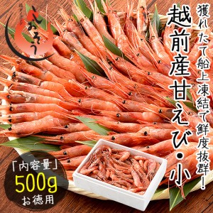 越前産 甘えび 甘エビ 子なし 小サイズ 500g（約40～50尾入り） 刺身用 贈り物 ギフト グルメ プレゼント 産地直送 お刺身  冬グルメ 冬