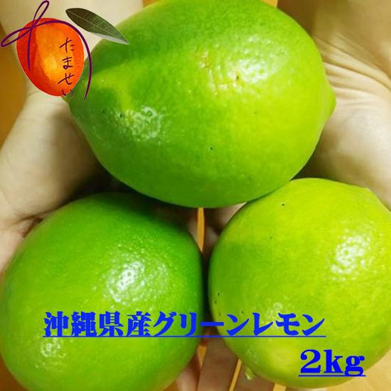 高品質 ≪送料無料≫沖縄県産 フルーツパパイヤ約４kg最強のダイエットフルーツ | alphapublishing.com