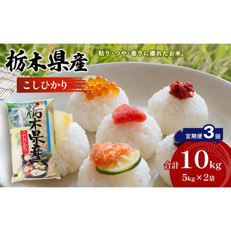 ふるさと納税 栃木県産 こしひかり 10kg×3回 真岡市 栃木県 送料無料 栃木県真岡市