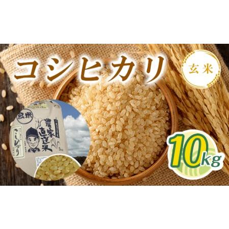 ふるさと納税 T01531令和5年産 コシヒカリ玄米 10kg 千葉県大多喜町