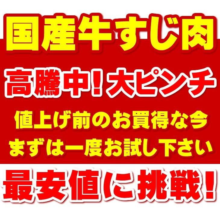 牛すじカレー 18袋 100％国産 牛すじ たまねぎ使用 中辛 惣菜 レトルト 送料無料 非常食 おつまみ 珍味 牛肉 ご飯のお供 贅沢