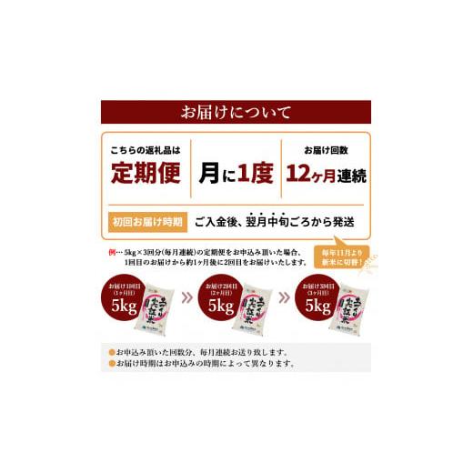 ふるさと納税 秋田県 にかほ市 米 定期便 5kg 12ヶ月 令和5年 あきたこまち 5kg×12回 計60kg 精米 白米 ※毎年11月より新米