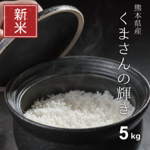 新米 米 お米 5kg くまさんの輝き 熊本県産 令和5年産 精米5kg こめたつ