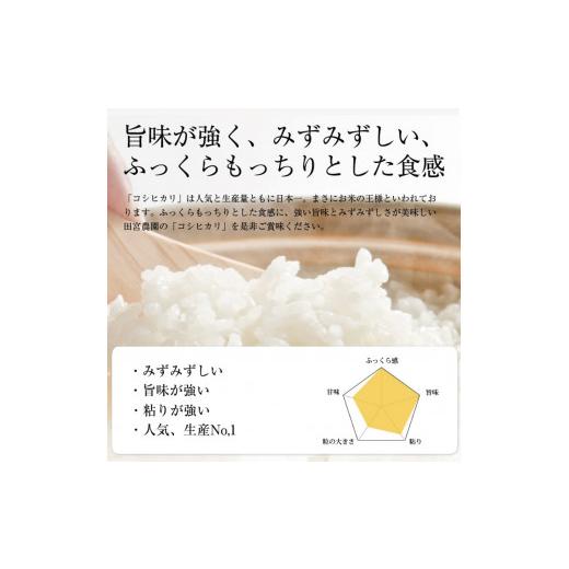 ふるさと納税 茨城県 行方市 L-9 　令和5年産田宮さんちのコシヒカリ 5kg×12回