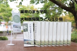 薬草のまち宇陀　大和当帰葉うどん 10個／薬草　大和当帰葉　うどん　２食分　10個　奈良県　宇陀市