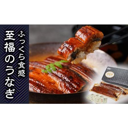 ふるさと納税 A-60 うなぎ蒲焼Ａセット(約140g×2尾タレ・山椒付)  鹿児島県曽於市