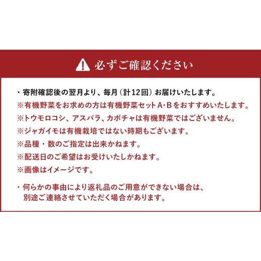 ふるさと納税 北海道 北広島市  おまかせ旬野菜セット 旬 野菜 セット 北海道 北広島市