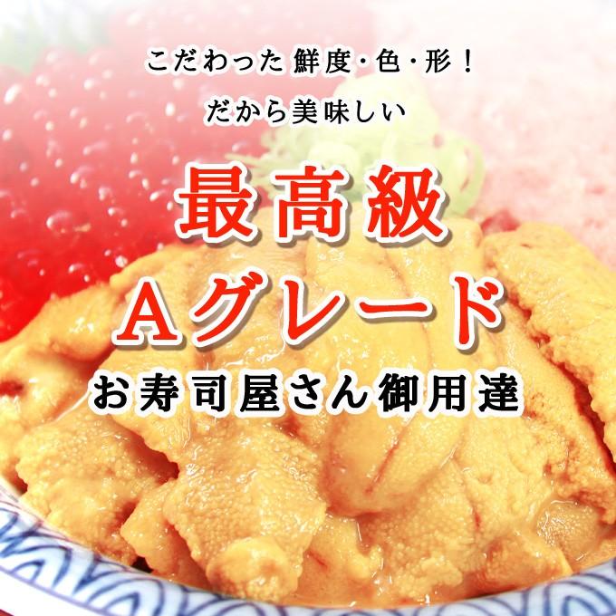 生ウニ 100g×3パック 無添加 天然物 送料無料 お取り寄せグルメ