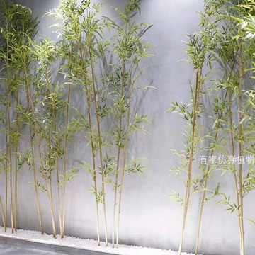 仿真綠植 發財樹 仿真植物 盆栽 盆景批發仿真竹子隔斷屏風室內室外假毛竹酒店庭院玄關造景裝飾細水竹