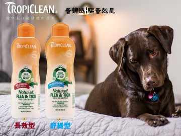 美國 TROPICLEAN 蚤蜱逃|驅蚤剋星 驅蚤洗毛精 592ml 犬用驅蚤洗毛精 天然精油配方 獸醫團隊研發
