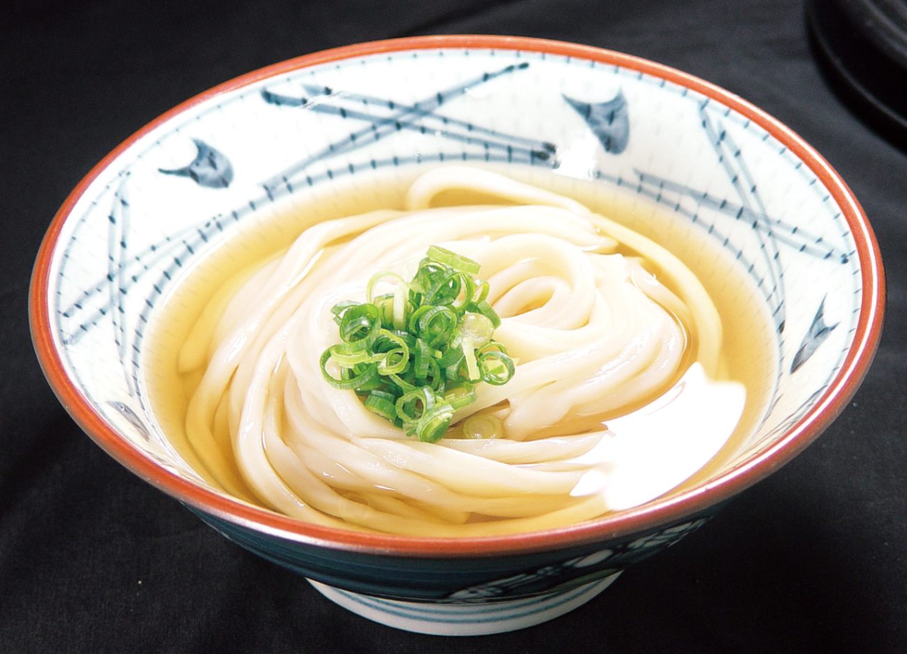 　讃岐純生うどん 通販　12人前 1980g (1箱 麺300g×6 濃縮つゆ30ml×6袋)