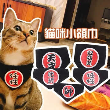 《小貓亂亂買》貓咪小領巾 口水巾 寵物領巾 貓咪項圈 貓咪配飾