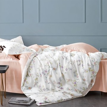 貝淇小舖 60支100%純天絲TENCEL 床包枕套三件組  床包 + 枕套組  加大(床包182 x 188cm + 枕套47 x 75cm)  清淺