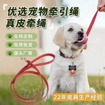 狗子防咬狗狗牽引繩泰迪金毛遛狗繩皮革寵物項圈小中大型犬栓狗繩