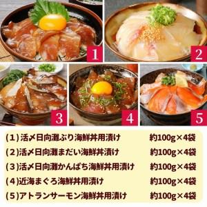 ふるさと納税 日向灘 お魚の漬け丼 バラエティ 5回 定期便　N019-ZD0117 　請関水産 宮崎県延岡市