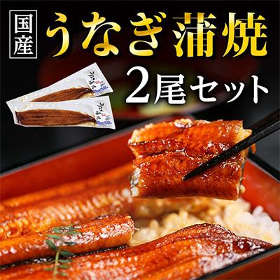 ふるさと納税 吉田町 国産うなぎ蒲焼・2尾セット全12回