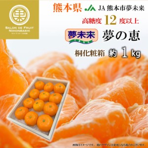 [予約 2024年1月1日必着] 夢の恵 約1kg 熊本県産 桐箱 JA熊本市夢未来 夢未来 みかん お正月必着指定 お年賀 御年賀 冬ギフト