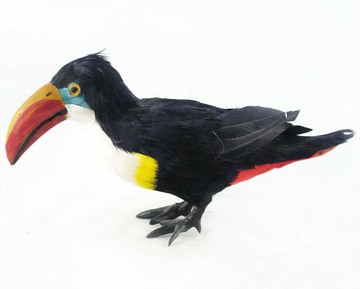 動物模型 羽毛類仿真長嘴鳥大嘴巨嘴鳥手工藝品仿真鳥攝影道具玩