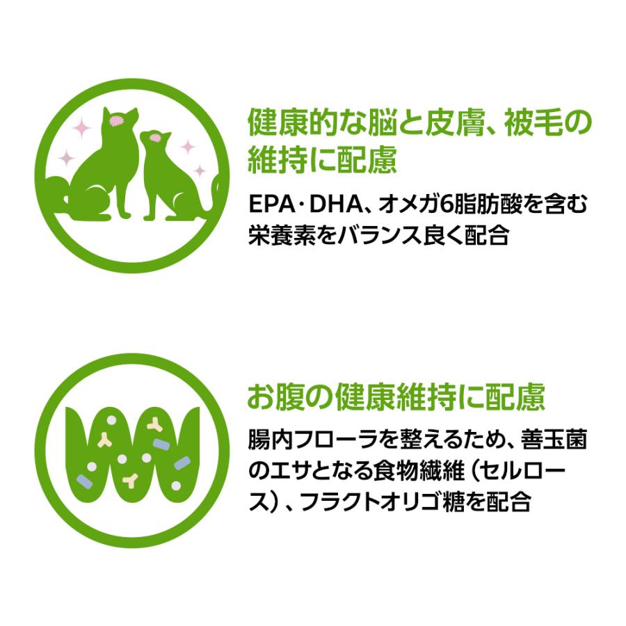 ベッツワン キャットプロテクトプラス 猫用 6本 (動物用医薬品)